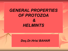 GENERAL PROPERTIES OF PROTOZOA & HELMINTS Doç.Dr.Hrisi