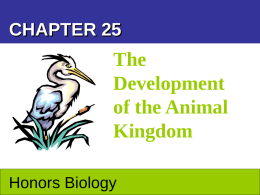 Survey of Kingdom Animalia
