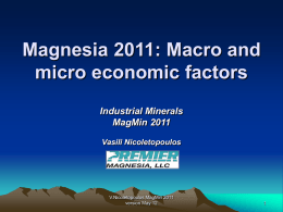 Magnesia: Macro and micro economic factors