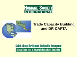 Trade Capacity Building in Central America The Cacao Experience