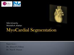 Cardiac Segmentation