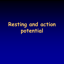 Resting and action potentials