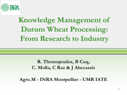 Knowledge Management of Durum Wheat Processing