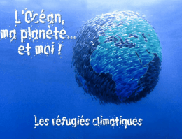 PPS 11.6Mo, clic droit et "T&eacute;l&eacute;charger sous"