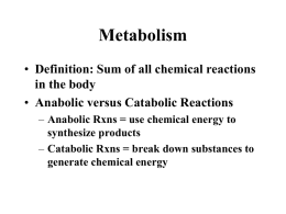 Chemical Energy Production