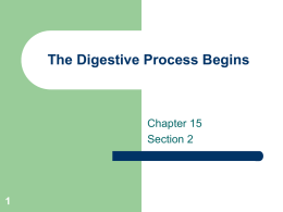 The Digestive Process Begins chap 15 2