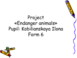 Project Endanger animals Pupils: Kobilianskaya Ilona and