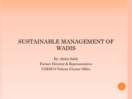 Sustainable Management of Wadis