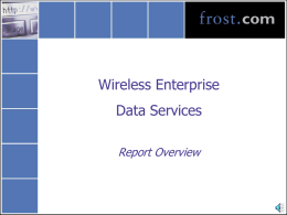 What are wireless enterprise data services
