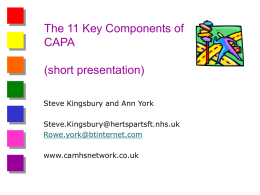 11 Components of CAPA