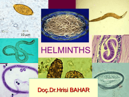 INTRODUCTION TO HELMINTHOLOGY ,GENERAL PROPERTIES