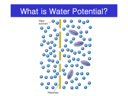 Water Potential ppt Great!!
