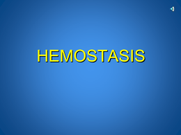 The Normal Hemostatic Process