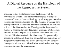 Reproductive Histology PPT