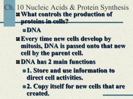 DNA, RNA, & protein synthesis