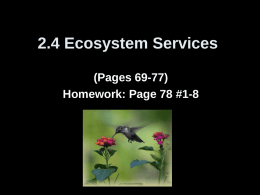 2.4 Ecosystem Services