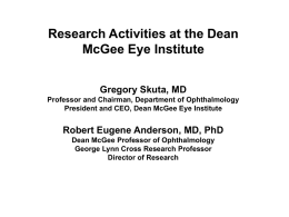Research Activities at DMEI