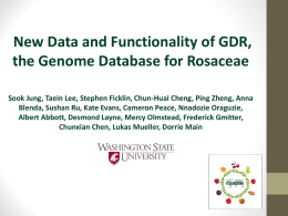 Computer demo - the Genome Database for Rosaceae