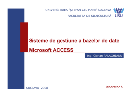 Access - prezentarea 5