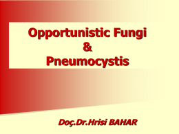 Opportunistic Fungal Infections.