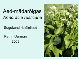 Söögipeet Beta vulgaris subsp. vulgaris var. Vulgaris Sugukond