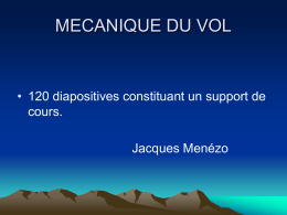 portance - Jacques Menezo