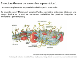 Composición de las membranas