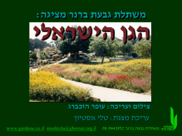 גן ישראלי - גינון בצמחי בר