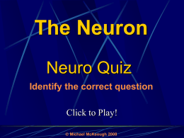The Neuron:Quiz Game