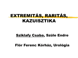 105. Dr. Sziklafy Csaba, Dr. Szüle Endre