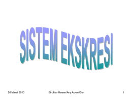 Sistem_Ekskresi - Direktori File UPI