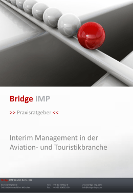 Bridge IMP_Praxisratgeber Interim Manage[...]