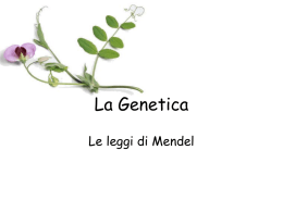 Leggi_Mendel - AiutoDislessia.net