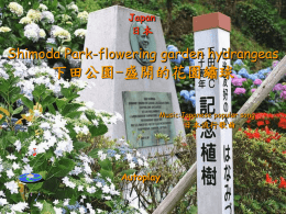 日本繡球花園