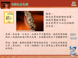 PowerPoint 簡報