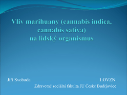 Vliv marihuany (cannabis indica, cannabis sativa) na