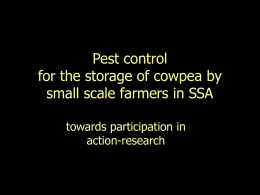 PowerPoint presentation on the cowpea project for