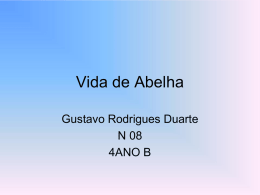 08 Gustavo Rodrigues Duarte - Vida de Abelha