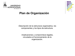 Elementos de la Estructura Organizativa