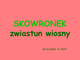 Prezentacja multimedialna pt. "Skowronek"