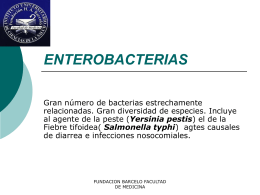 Entero bacterias