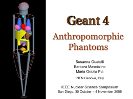 Geant4 phantom