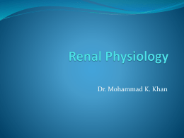 Renal Blood Flow and Glomerular Filtration Rate