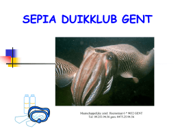 Wegwijzer 1*Duiker - Sepia Duikclub Gent