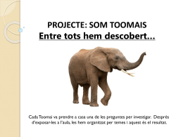 Investigació de l`elefant