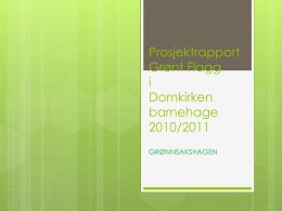 Grønt flagg - rapport 2011-12