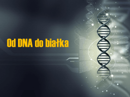 Od DNA do białkax