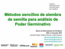 germinacion_de_semillas_para_analisis_de_pgx