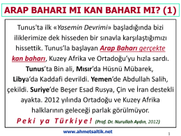 arap_baharı_mı_kan_b.. - Prof. Dr. Ahmet SALTIK