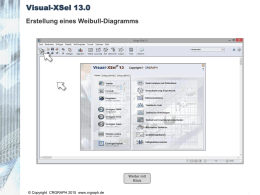 Visual-XSel 13.0